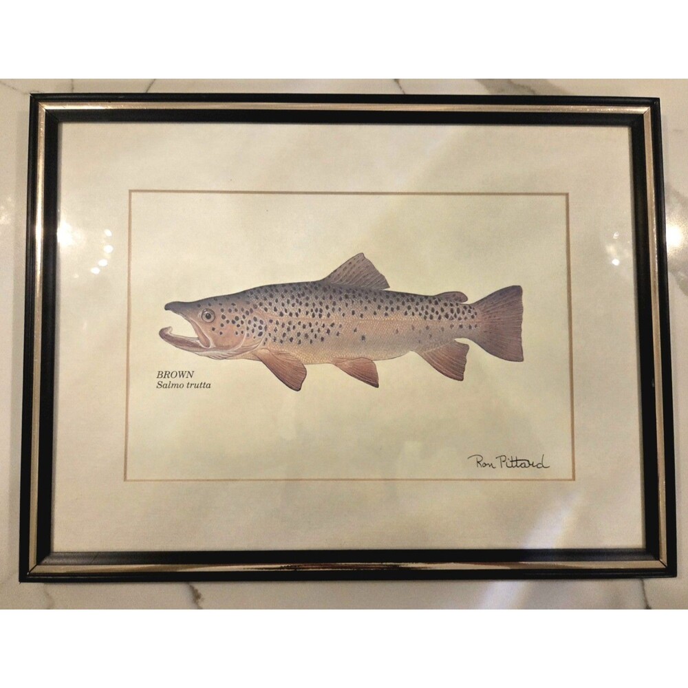"Brown Trout" Print by Ron Pittard 14" X 11" Framed
